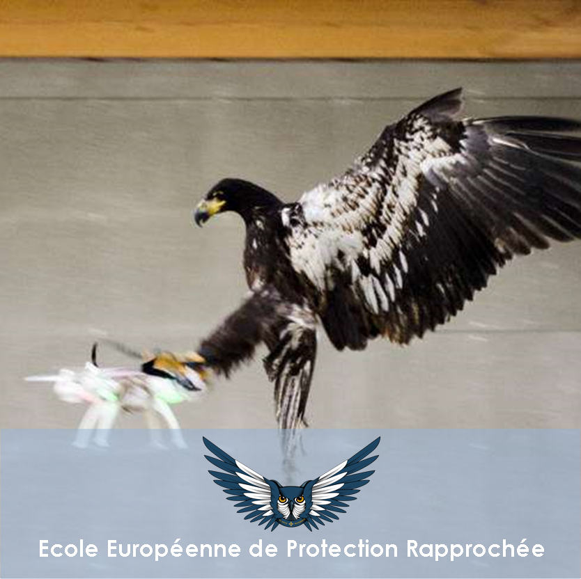 Drones et robotique : ce qu’ils vont changer pour la Protection Rapprochée