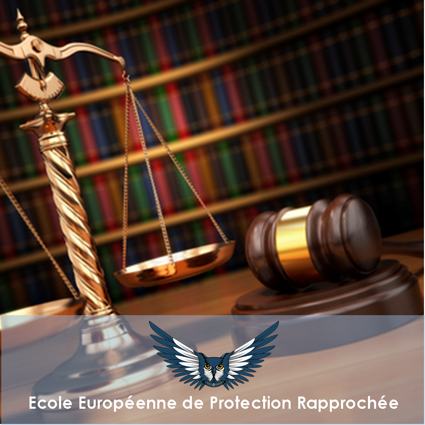 Article traitant du terrorisme en France, par Mr STEMMELEN - EEPR